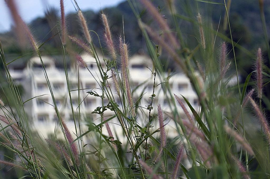 Eden Resort Karon Eksteriør bilde